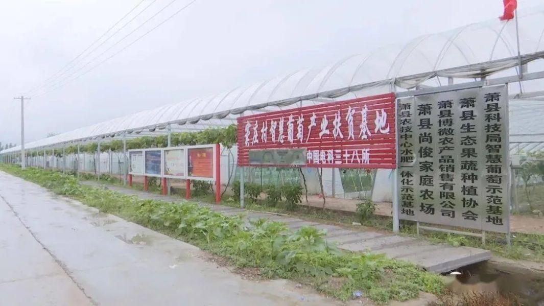 &#27431;&#23453;&#32593;&#23448;&#26041;&#31449;&#20837;&#21475;&#45;&#27431;&#23453;&#40;&#20013;&#22269;&#41;