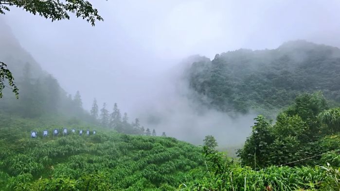 &#27431;&#23453;&#32593;&#23448;&#26041;&#31449;&#20837;&#21475;&#45;&#27431;&#23453;&#40;&#20013;&#22269;&#41;