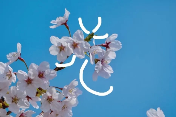 &#27431;&#23453;&#32593;&#23448;&#26041;&#31449;&#20837;&#21475;&#45;&#27431;&#23453;&#40;&#20013;&#22269;&#41;