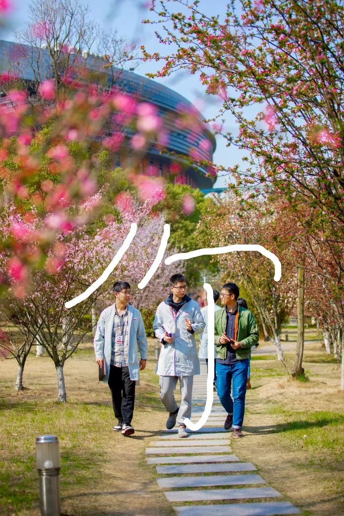 &#27431;&#23453;&#32593;&#23448;&#26041;&#31449;&#20837;&#21475;&#45;&#27431;&#23453;&#40;&#20013;&#22269;&#41;