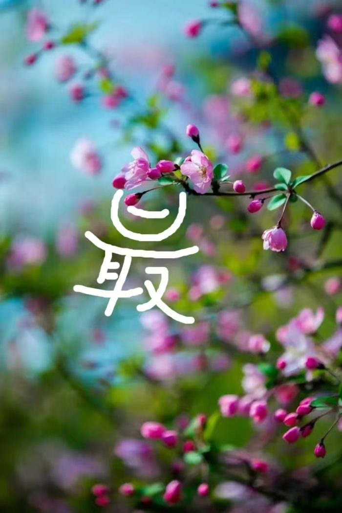 &#27431;&#23453;&#32593;&#23448;&#26041;&#31449;&#20837;&#21475;&#45;&#27431;&#23453;&#40;&#20013;&#22269;&#41;