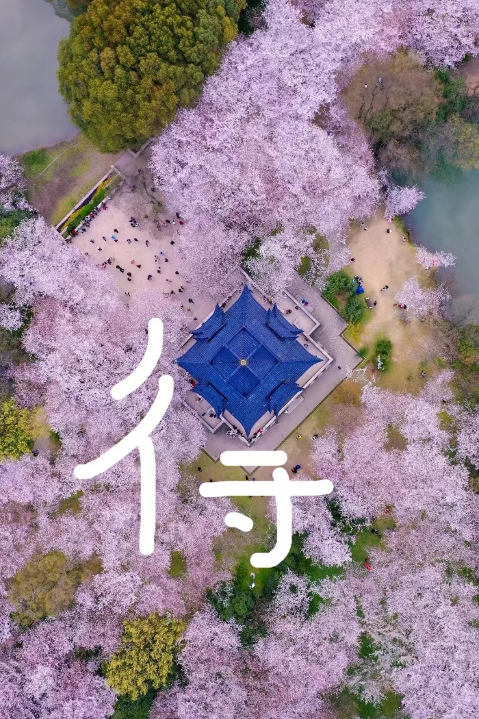 &#27431;&#23453;&#32593;&#23448;&#26041;&#31449;&#20837;&#21475;&#45;&#27431;&#23453;&#40;&#20013;&#22269;&#41;