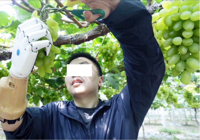 &#27431;&#23453;&#32593;&#23448;&#26041;&#31449;&#20837;&#21475;&#45;&#27431;&#23453;&#40;&#20013;&#22269;&#41;